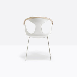 Pedrali Fox 3726 armchair with ash backrest - Buy now on ShopDecor - Discover the best products by PEDRALI design